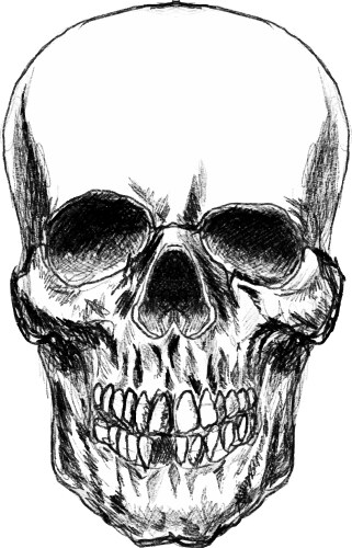 Scary skull design element for poster card banner Vector Image