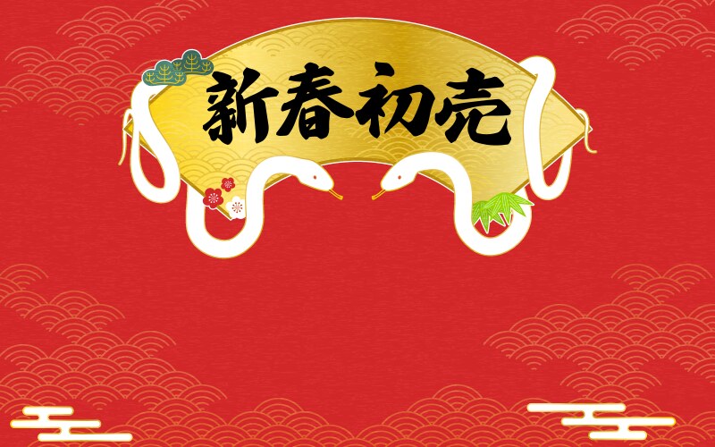 Japanese pattern white snake 2025 year Royalty Free Vector