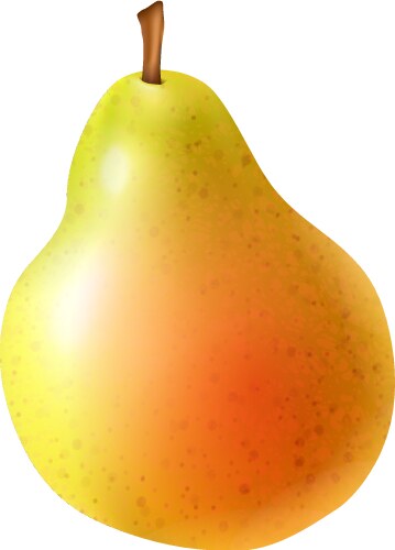 Realistic fresh pear with leaf green fruit Vector Image