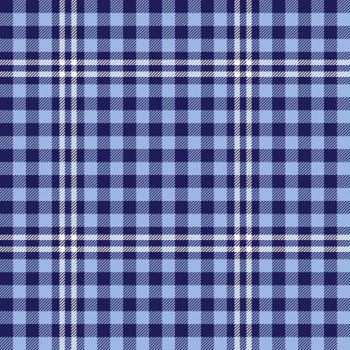 blue checkered scottish plaid vector image