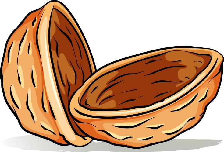 Nutshell Vector Images (over 10,000)