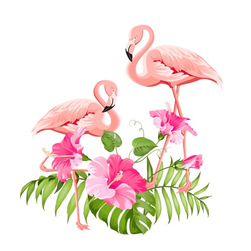 Flamingo background design tropical flowers Vector Image