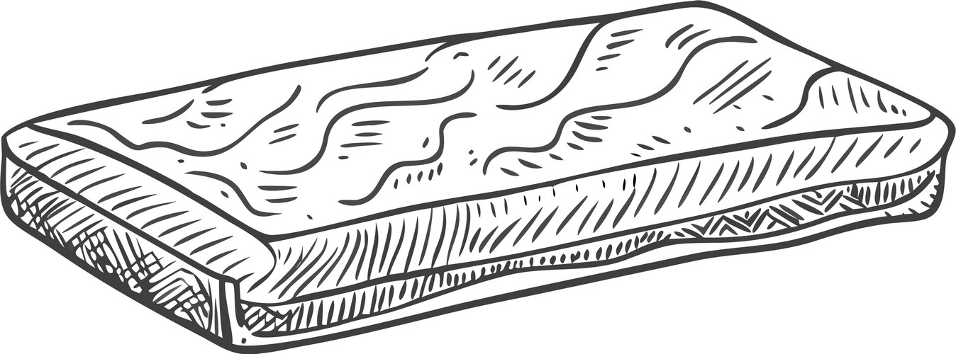 Hand Drawn Pillow Sketch Vector Image