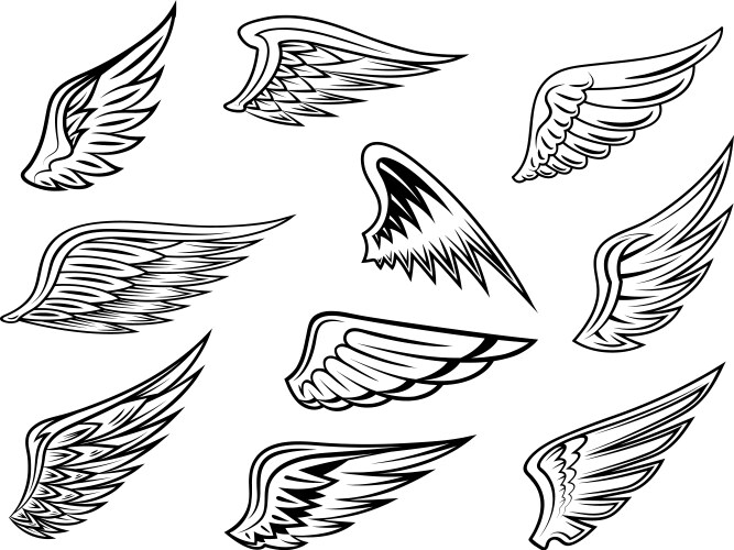 Heraldic Wing Motif Set Vector Image