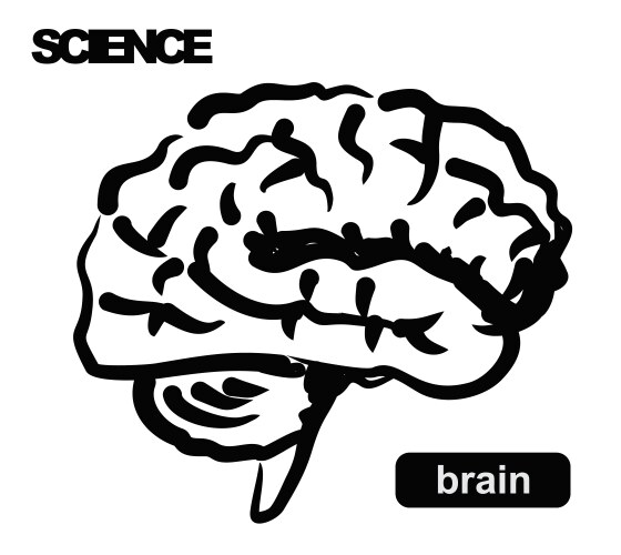 Human brain hand drawn outline doodle icon Vector Image