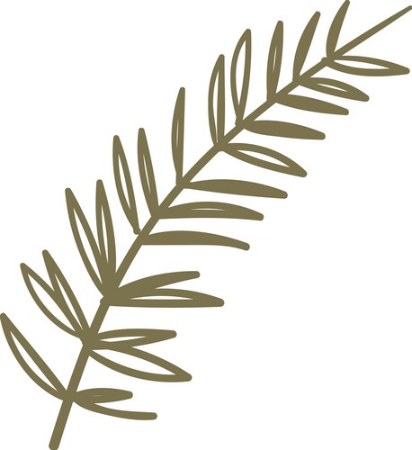 Christmas tree branch holiday decoration Vector Image