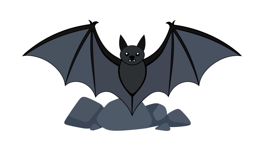 Vampire Bat Cartoon Vector Images (over 15,000)