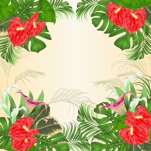 Floral Frame with Tropical Blooms Vector Image