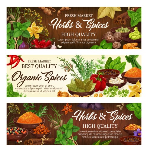 Herbs And Spices Seasonings Condiments Royalty Free Vector
