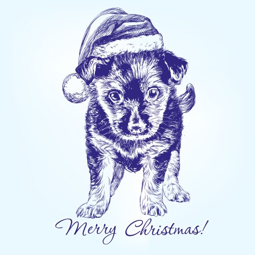 Christmas Puppy in Santa Hat Vector Image