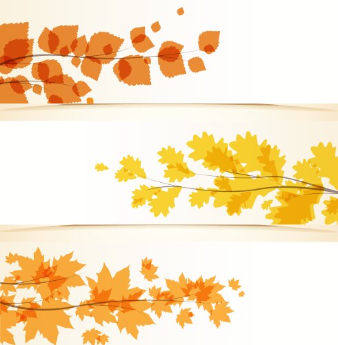 autumn leaves vector image vector image