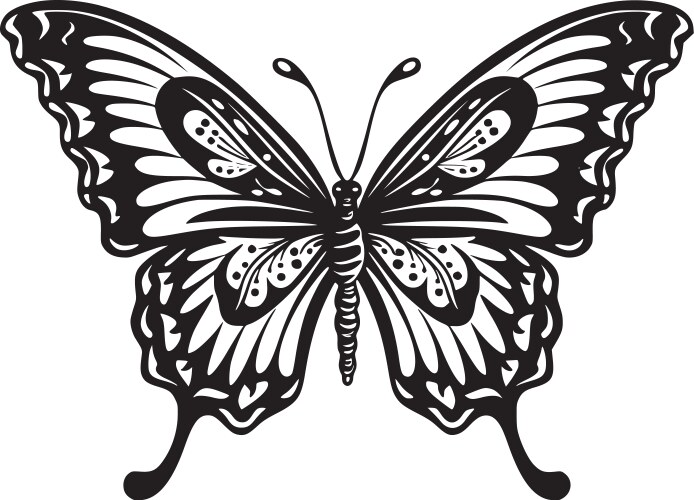 Butterfly - black and white Vector Image