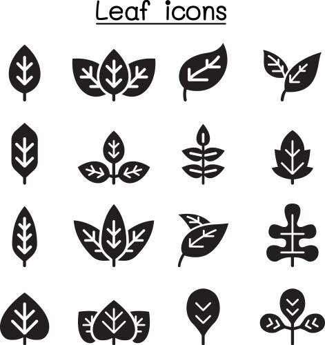 Set of black leaf icons Royalty Free Vector Image