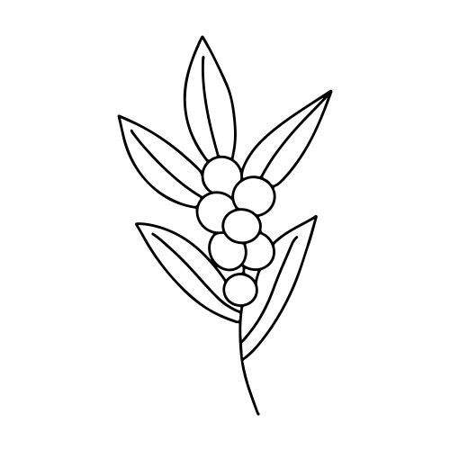 Hand drawn minimalist branch with leaves Vector Image