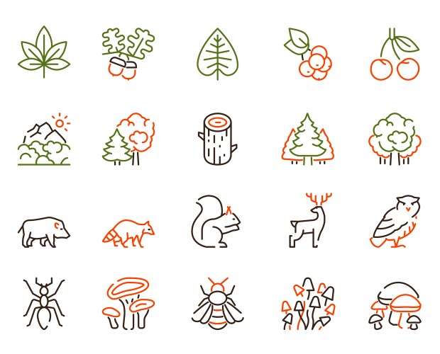 color linear icon set forest objects vector image