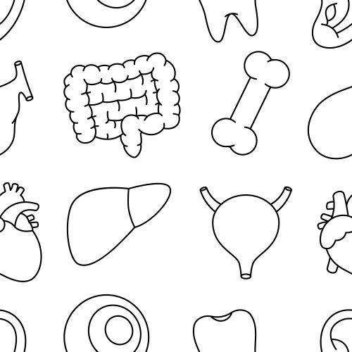 Set of human organs one line continuous drawing – Royalty-Free Vector ...
