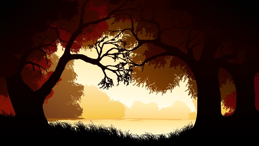 Forest trees sunset Royalty Free Vector Image - VectorStock