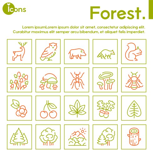 color linear icon set forest objects vector image