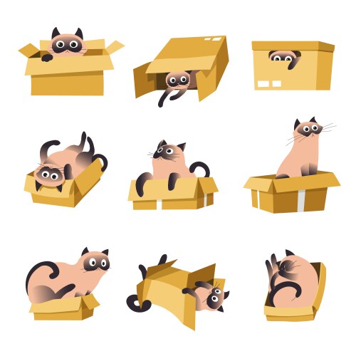 Pet cat icons set Royalty Free Vector Image - VectorStock