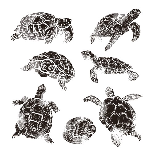 Turtles family design on white background easy Vector Image