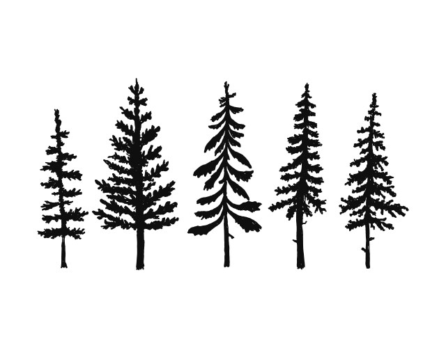 collection of pine tree silhouettes vector image vector image