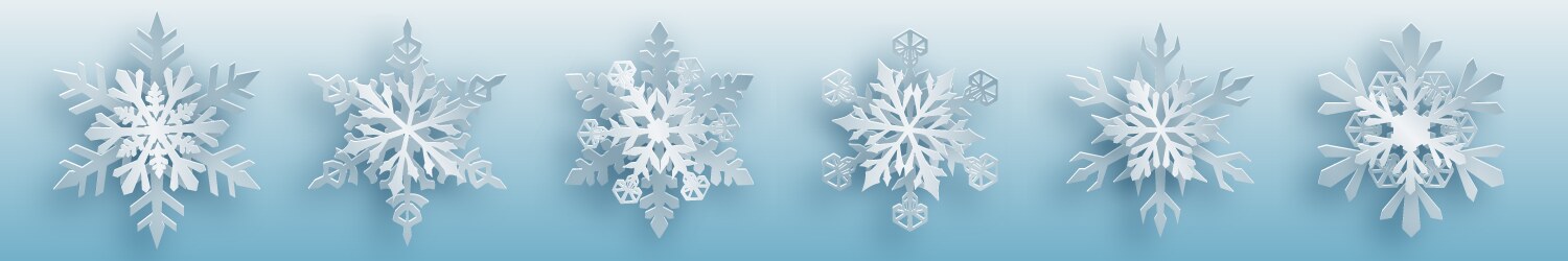 Set of paper snowflakes Royalty Free Vector Image