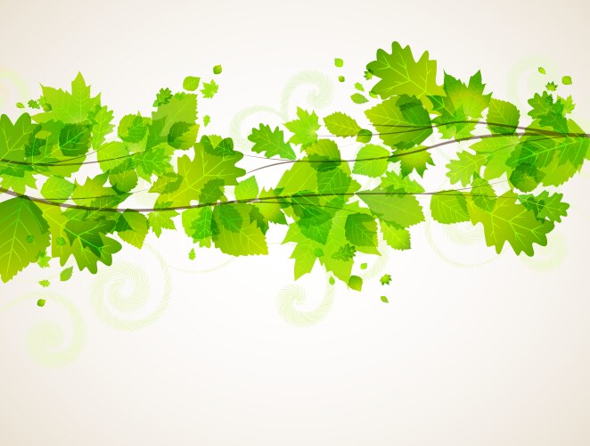 Green tree leaves Royalty Free Vector Image - VectorStock