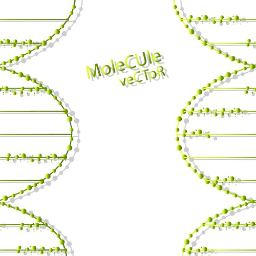 dna design over white background vector image