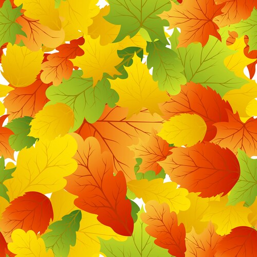Early Fall Color Vector Autumn fall background with bright golden maple Vector Image
