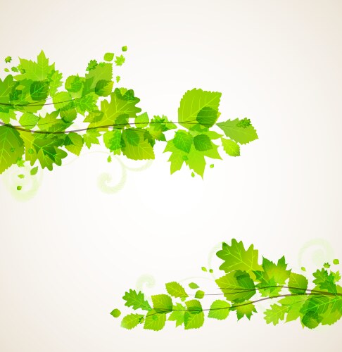 Green leaves background Royalty Free Vector Image