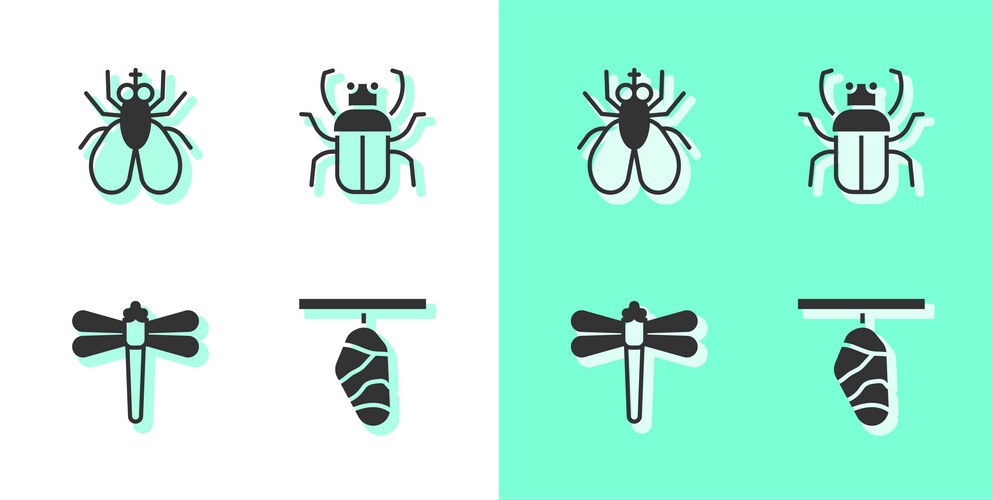 Set butterfly cocoon insect dragonfly and stink Vector Image