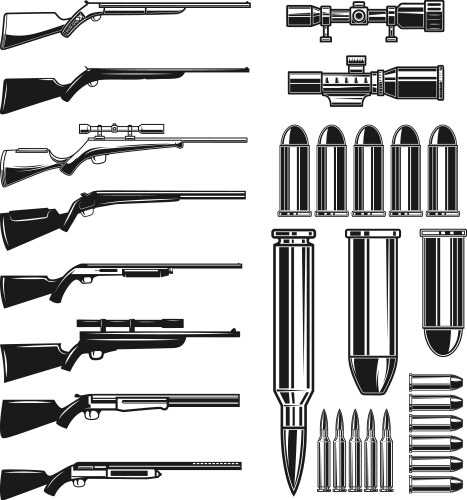 Ammunition and bullets isolated on white Vector Image