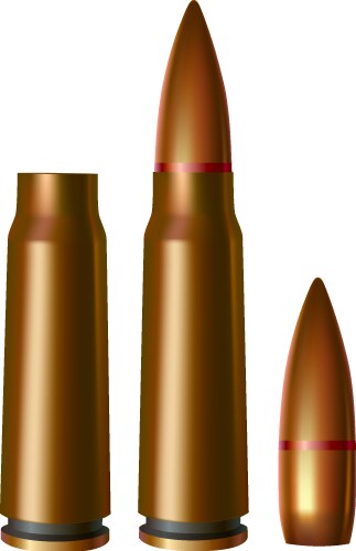 Rifle bullet set Royalty Free Vector Image - VectorStock