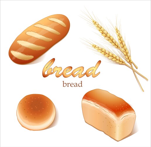 Bread and bakery products Royalty Free Vector Image