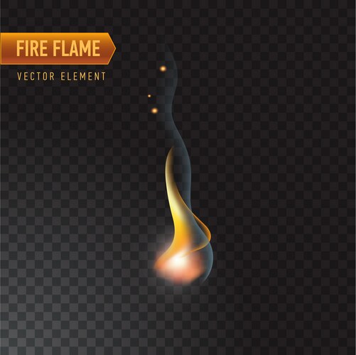 Dynamic Fire Flame (16907434) – Royalty-Free Vector | VectorStock