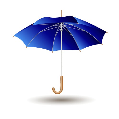 Umbrella vector image