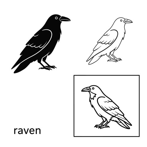 Raven Bird Icons - Solid Black Silhouette – Royalty-Free Vector ...