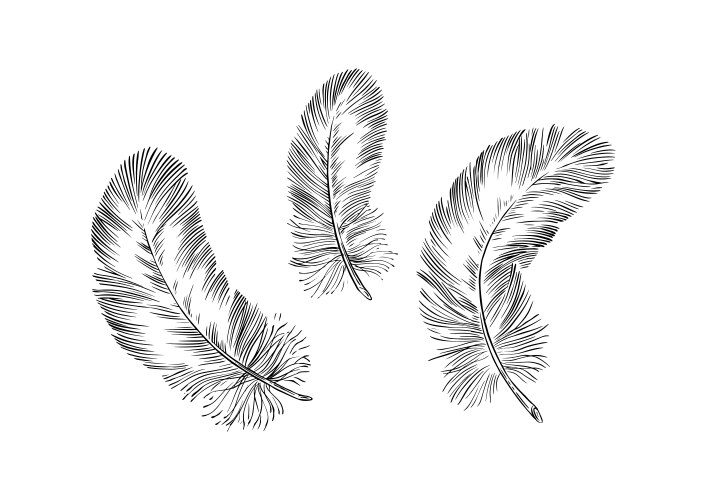 writing-clipart-black-and-white-vector-images-over-1-100 for Free Black And White Printable Art Writing Clipart Black and White Vector Images (over 1,100) for Free Black And White Printable Art