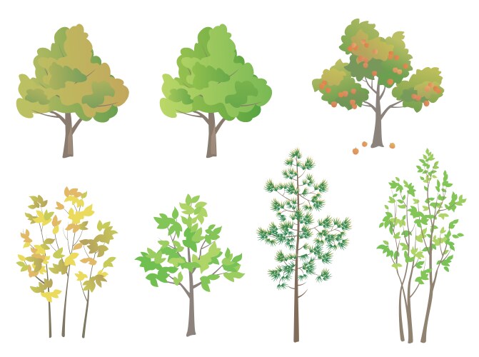 Realistic pine trees set Royalty Free Vector Image