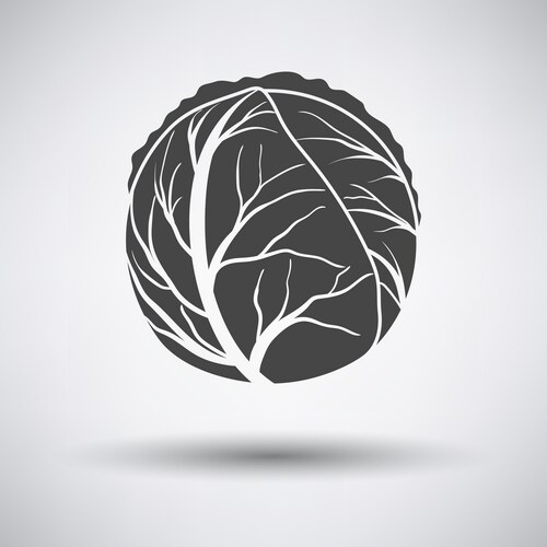 Whole cabbage flat icon Royalty Free Vector Image