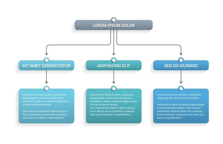 flowchart vector image