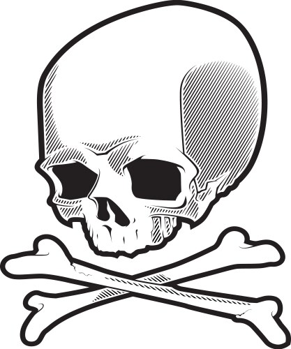 Vintage skull in pirate hat Royalty Free Vector Image