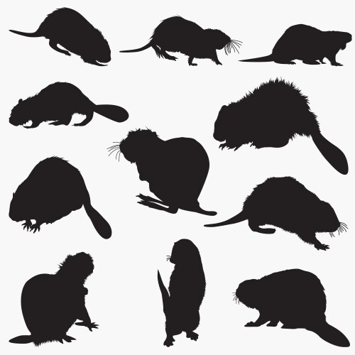 Silhouetted Beaver Shapes Vector Image
