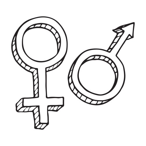 male and female sex symbol vector image