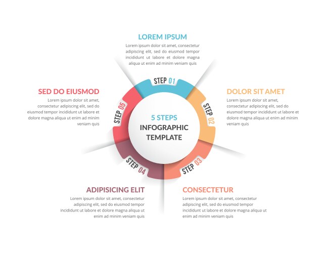 Circular Infographic - Five Steps vector image
