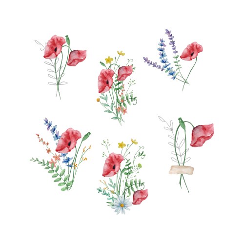 Watercolor bouquet of wildflowers for cards Vector Image