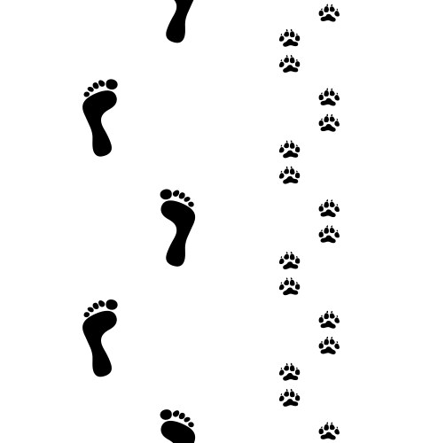 Footprints and Paw Prints Vector Image