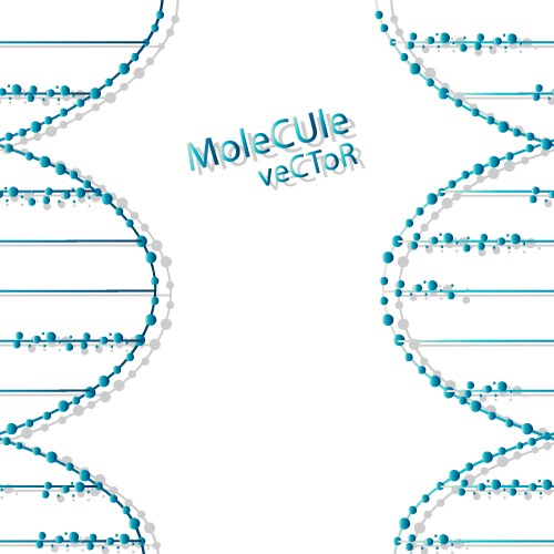 Dna design over white background vector image