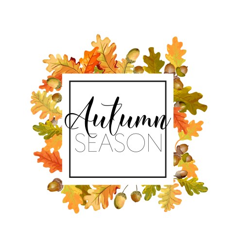 Autumn leaves background floral banner design Vector Image