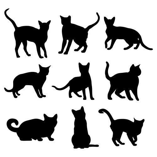 Cat Silhouettes Set Vector Image